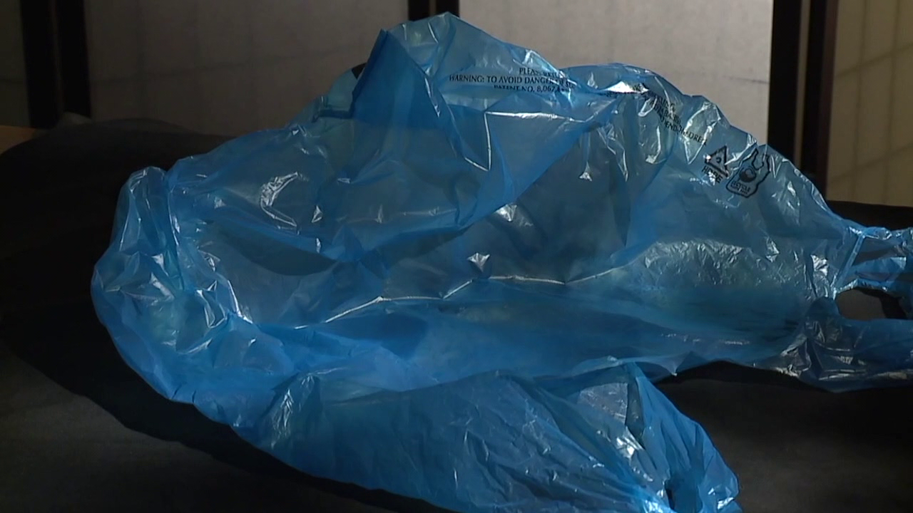 Switching to reusable grocery bags is a simple first step in reducing plastic pollution